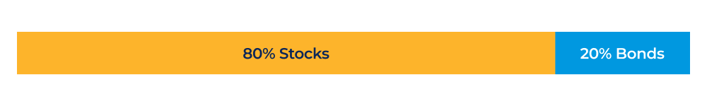 Moderate growth portfolio  bar graph